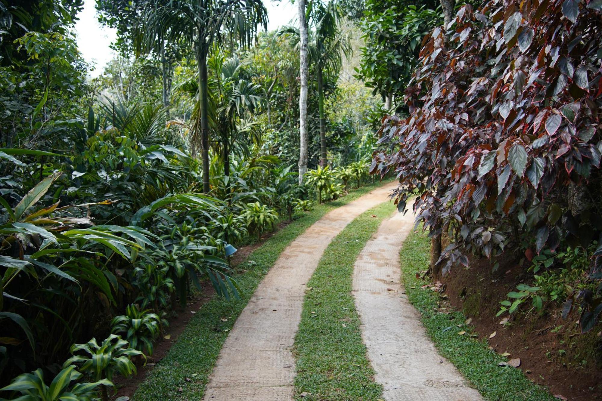 Blanket Days Resort And Spa Thekkady Extérieur photo